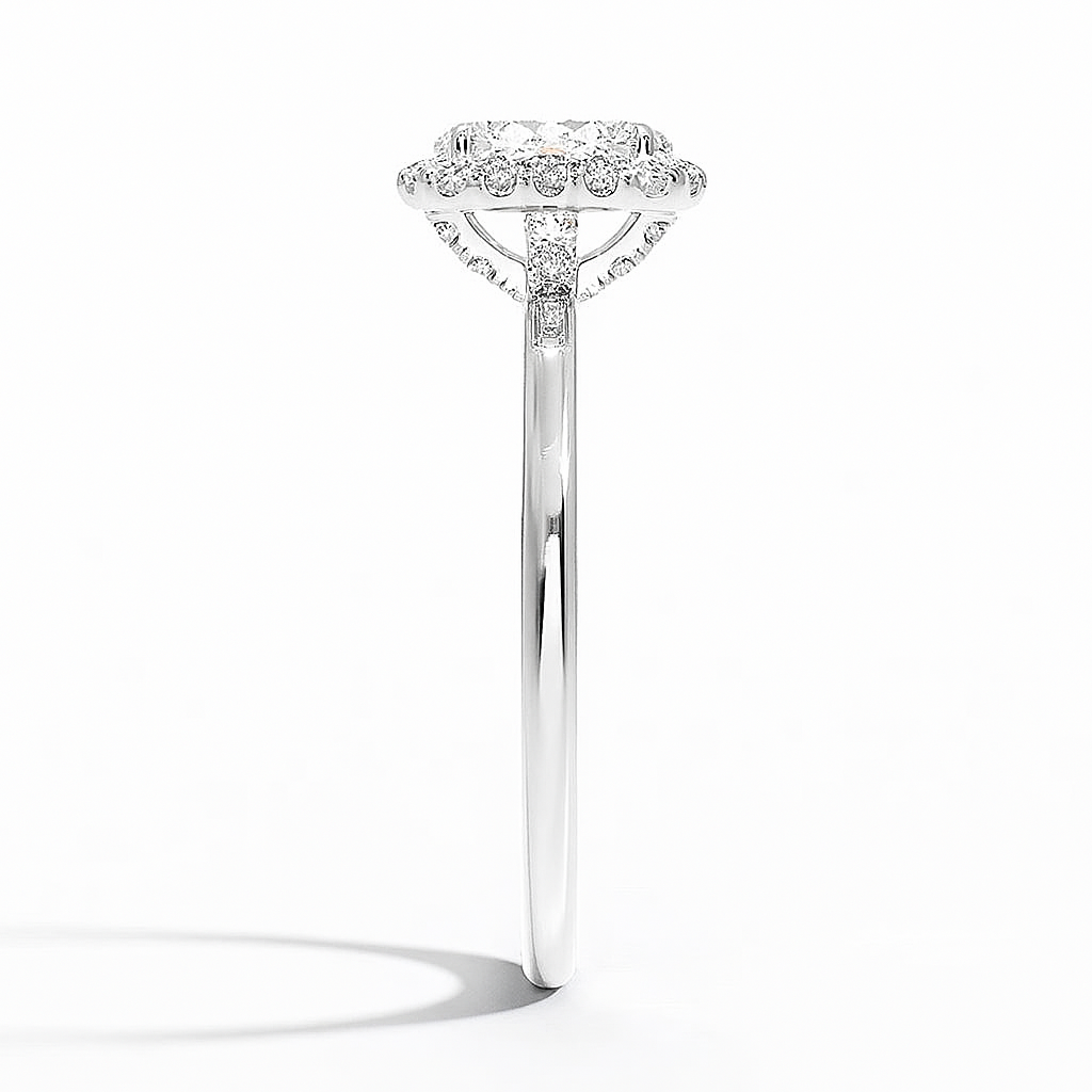 The Audrey