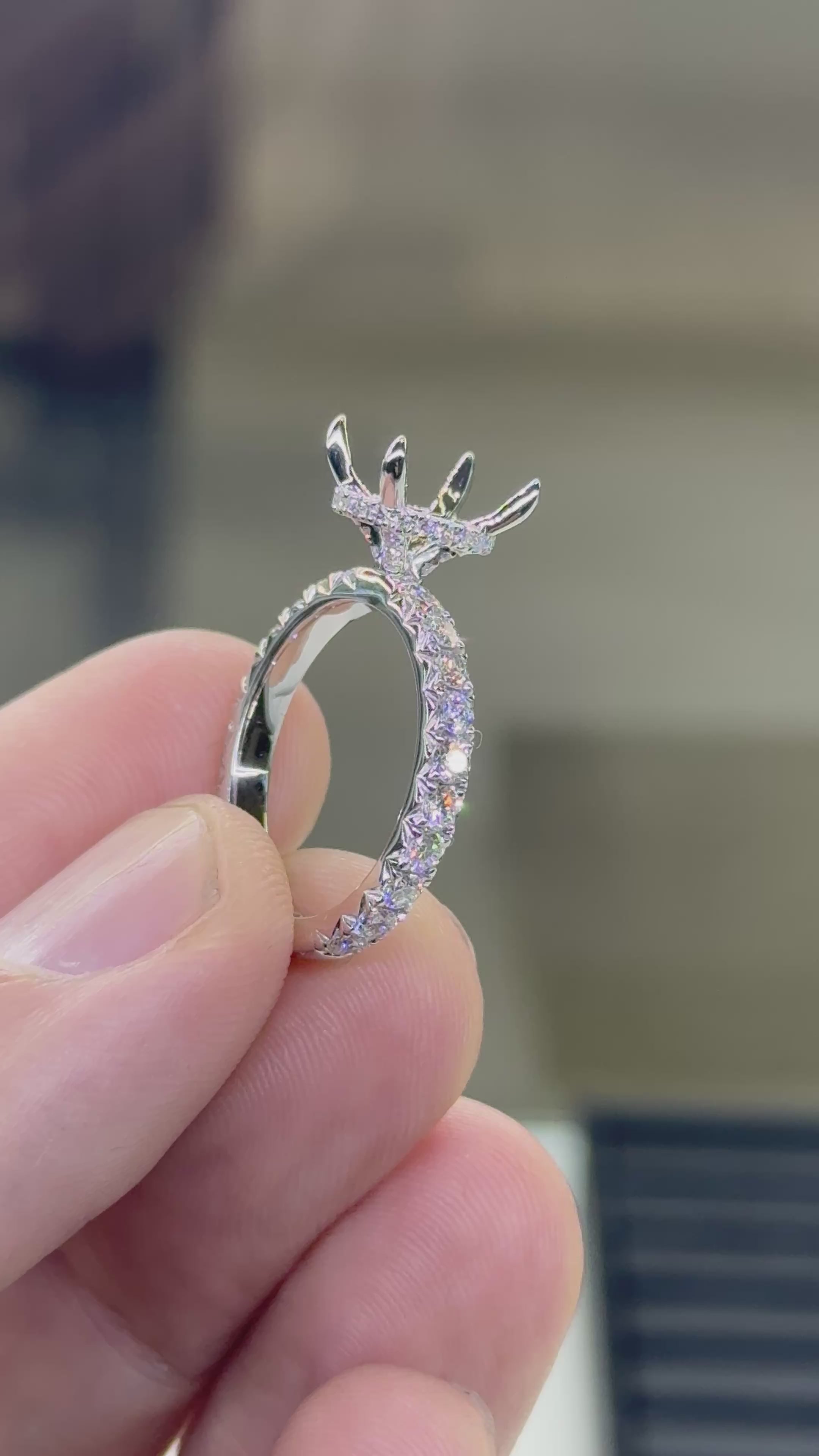 Signature Series Mounting