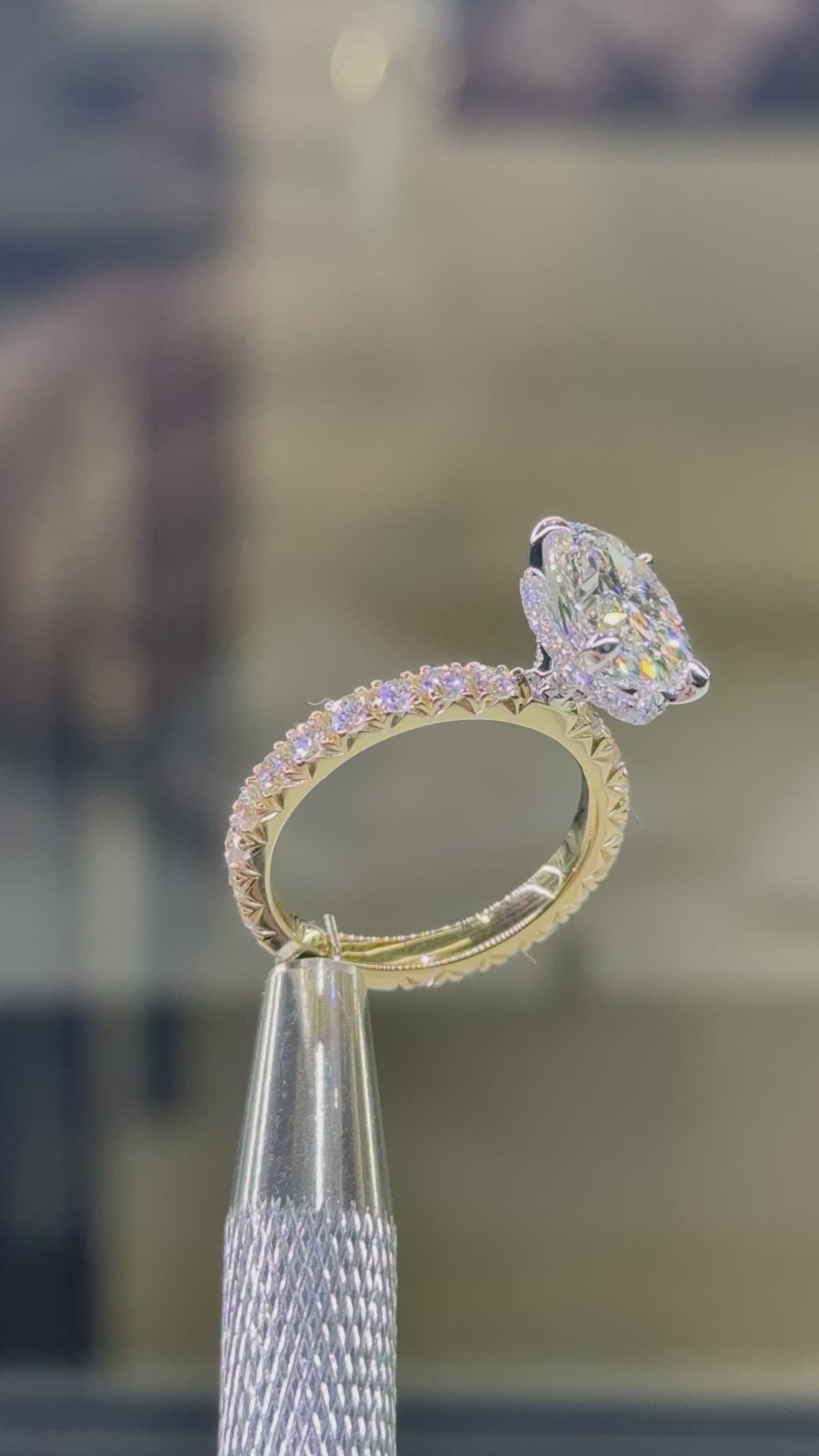 Oval Signature Setting 2.50mm